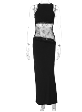 Elegant Sheer Lace Backless Dress